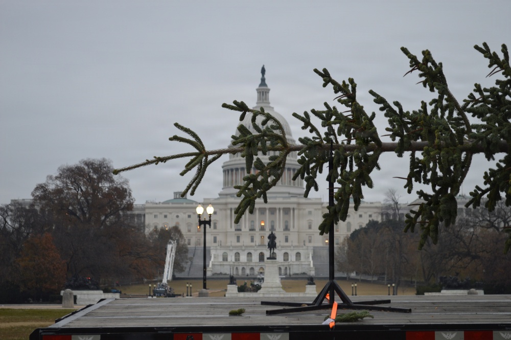 U.S. Capitol Christmas Tree Tour 2025