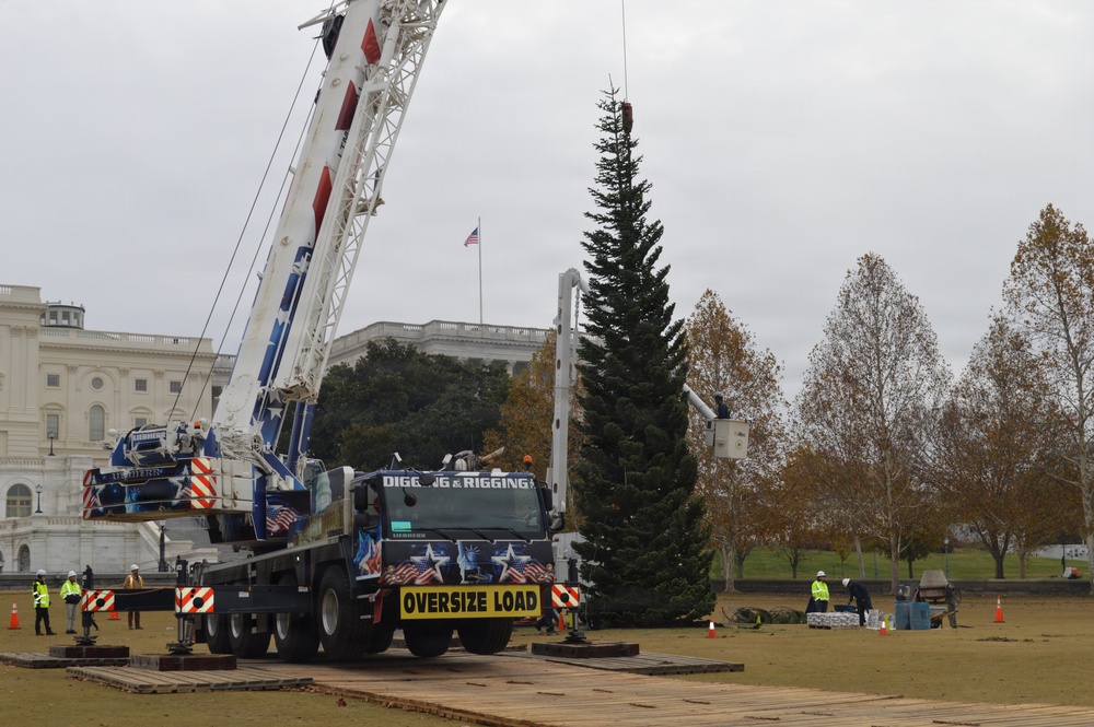 U.S. Capitol Christmas Tree Tour 2025