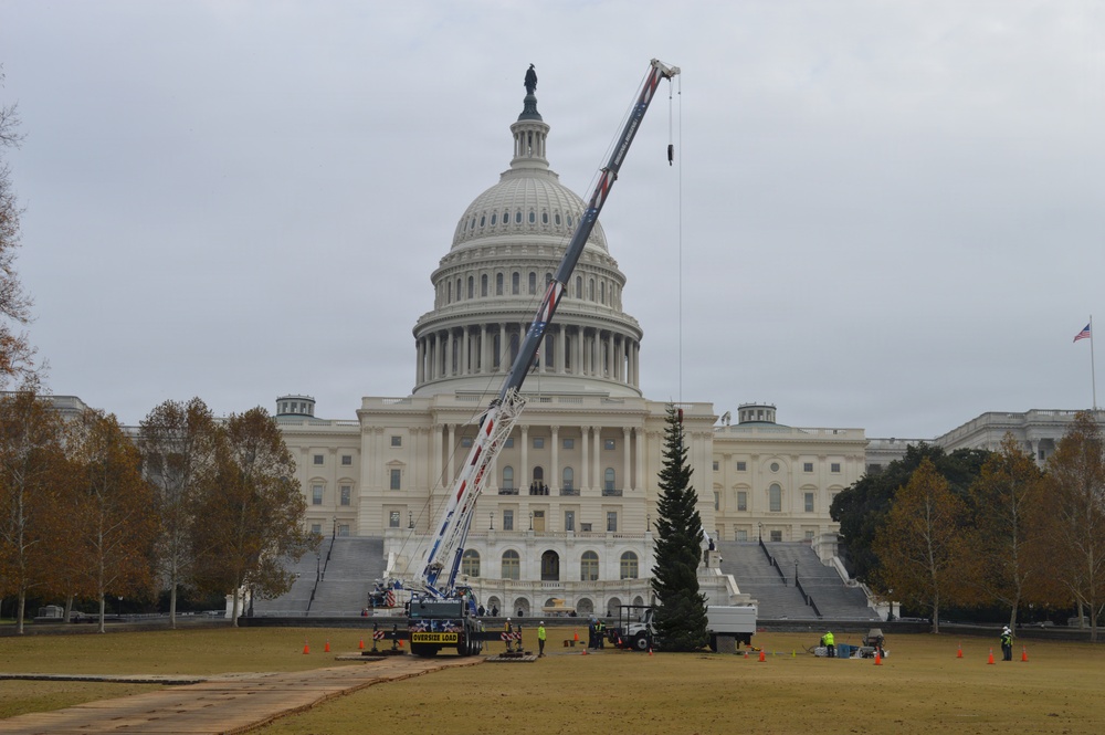 U.S. Capitol Christmas Tree Tour 2025