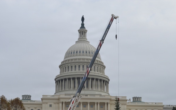 U.S. Capitol Christmas Tree Tour 2025