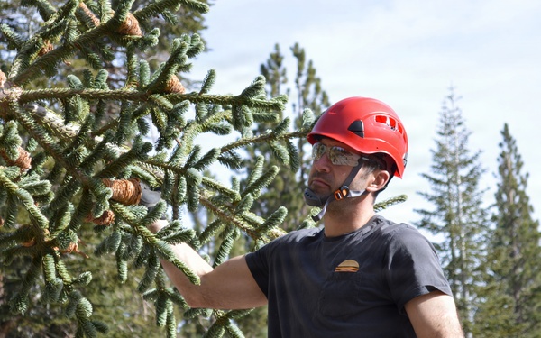 U.S. Capitol Christmas Tree Tour 2025