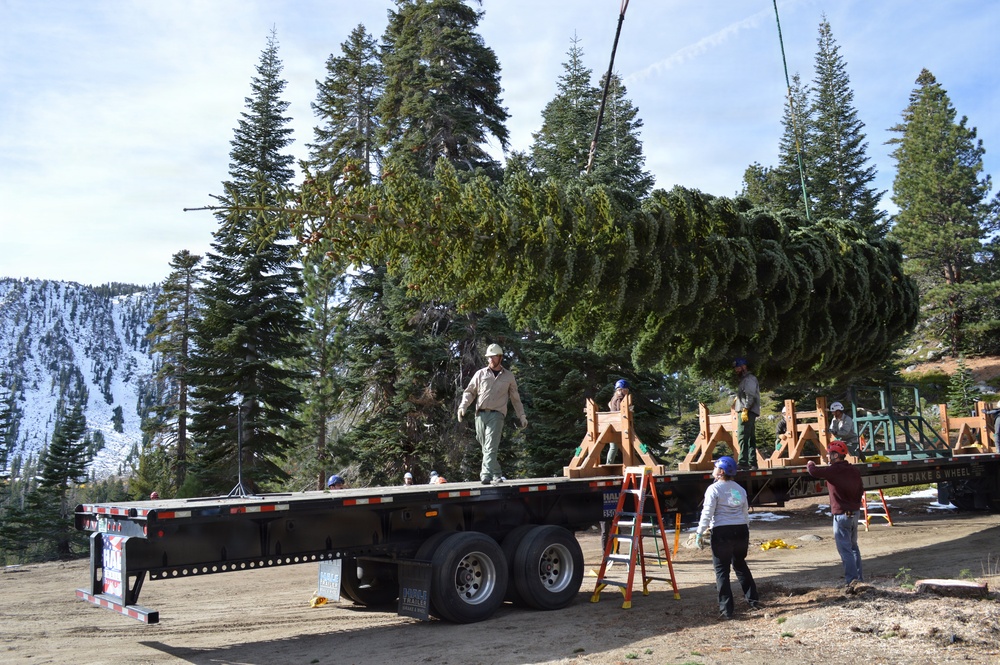 U.S. Capitol Christmas Tree Tour 2025