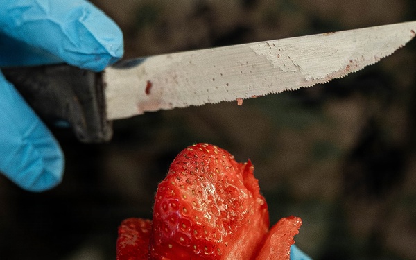 U.S. Marine Corps reservists with MWSS 472 undergo a food inspection for the Major General William Pendleton Thompson Hill Food Service Award
