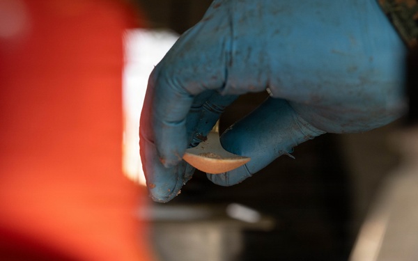 U.S. Marine Corps reservists with MWSS 472 undergo a food inspection for the Major General William Pendleton Thompson Hill Food Service Award