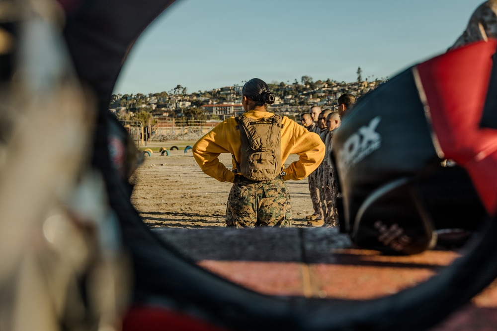 Echo Company Pugil Sticks