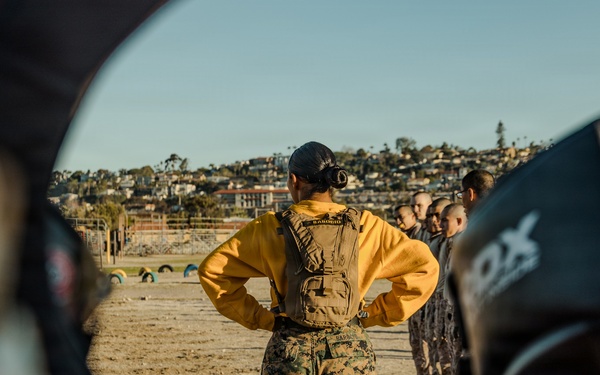 Echo Company Pugil Sticks