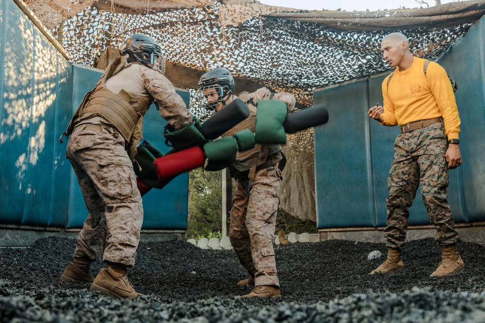 Echo Company Pugil Sticks