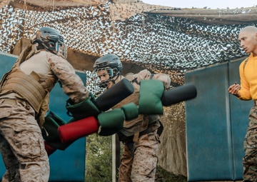 Echo Company Pugil Sticks