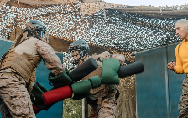 Echo Company Pugil Sticks