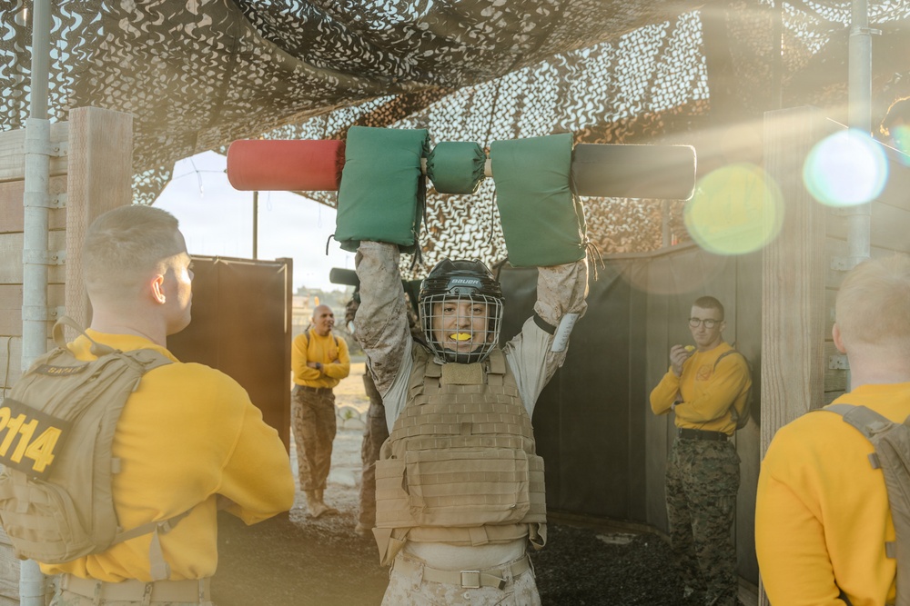 Echo Company Pugil Sticks