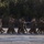 India Company Drill