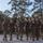 India Company Drill