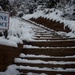 Manitou Incline in Pike National Forest