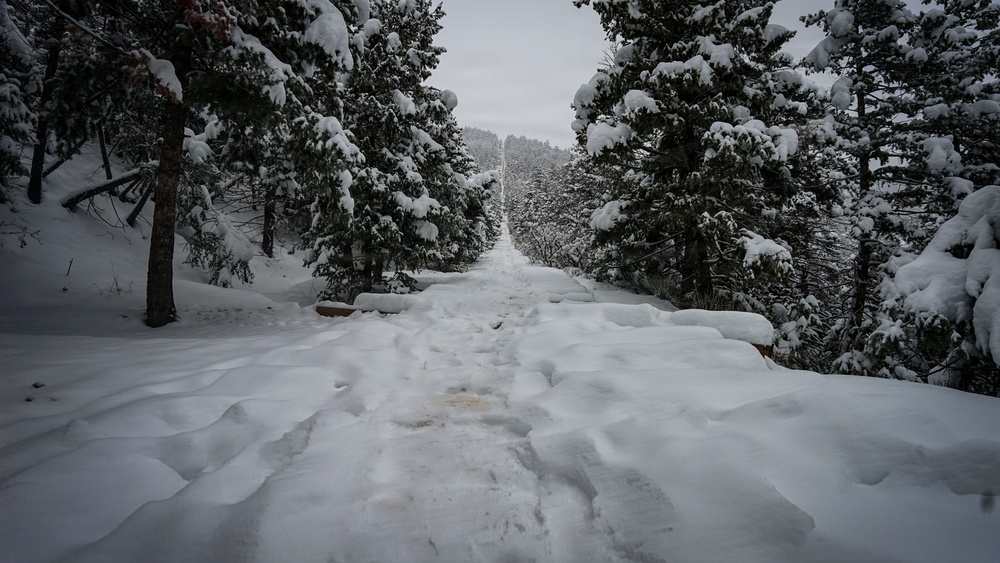 Manitou Incline in Pike National Forest