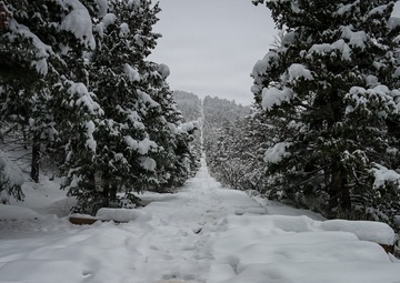 Manitou Incline in Pike National Forest