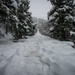 Manitou Incline in Pike National Forest