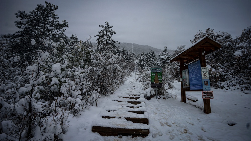 Manitou Incline in Pike National Forest