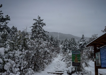 Manitou Incline in Pike National Forest