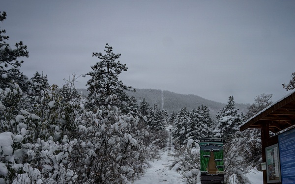 Pike National Forest: A Snowy Incline Hike