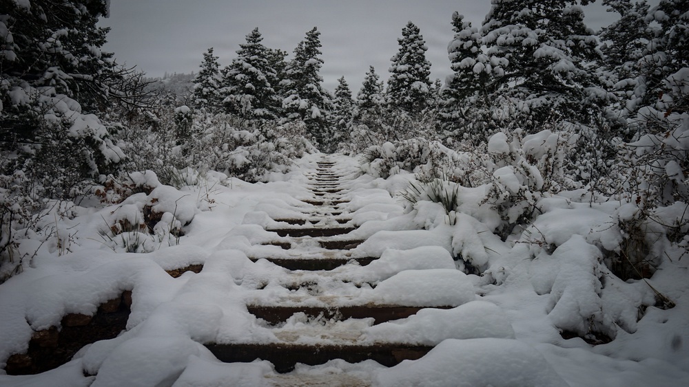 Manitou Incline in Pike National Forest
