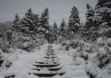 Manitou Incline in Pike National Forest
