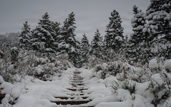 Pike National Forest: A Snowy Incline Hike