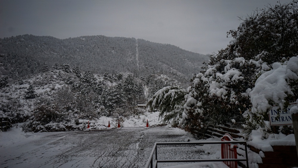 Manitou Incline in Pike National Forest