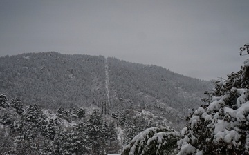 Pike National Forest: A Snowy Incline Hike