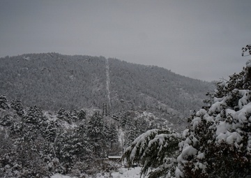 Manitou Incline in Pike National Forest