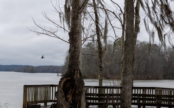 Prairie Creek Campground at Alabama River Lakes