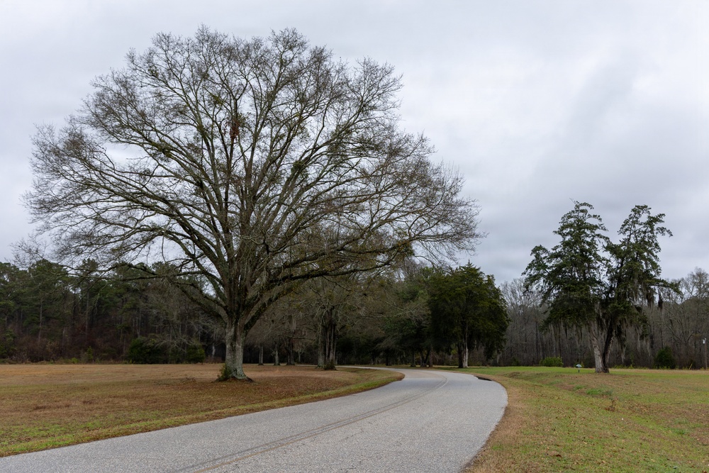 Prairie Creek Campground at Alabama River Lakes