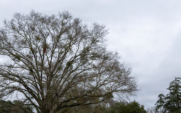Prairie Creek Campground at Alabama River Lakes
