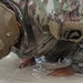 Air Assault Push-Ups