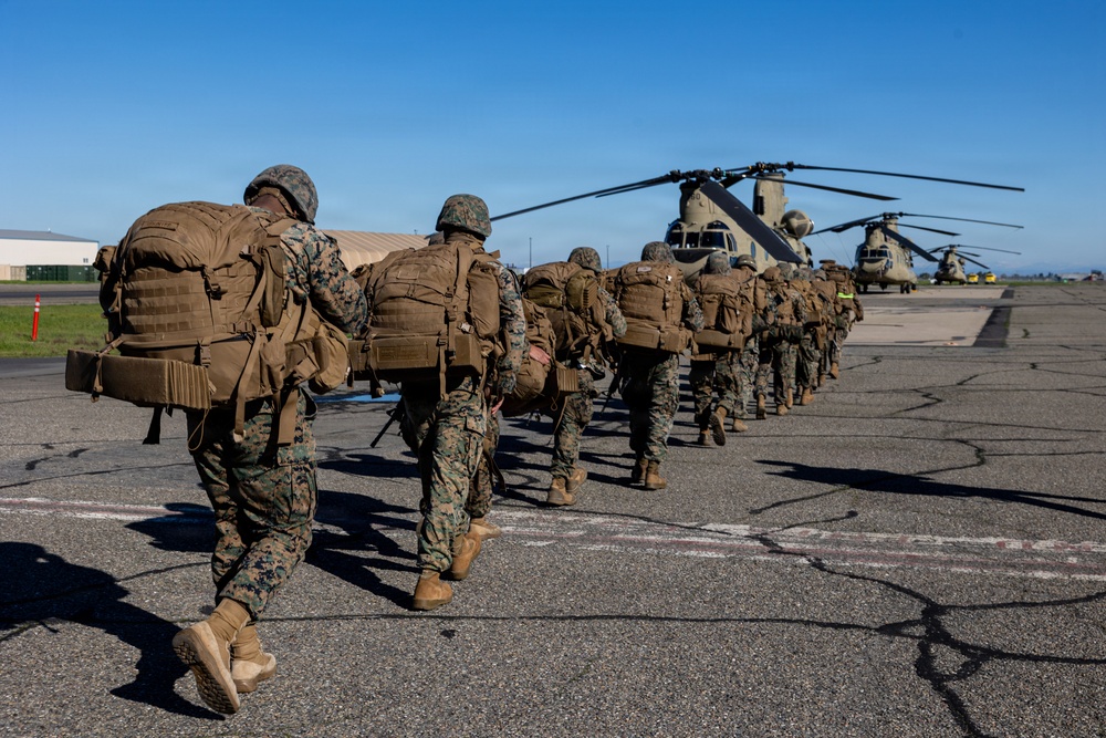 CLB-23 Aerial Insert