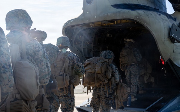 CLB-23 Aerial Insert