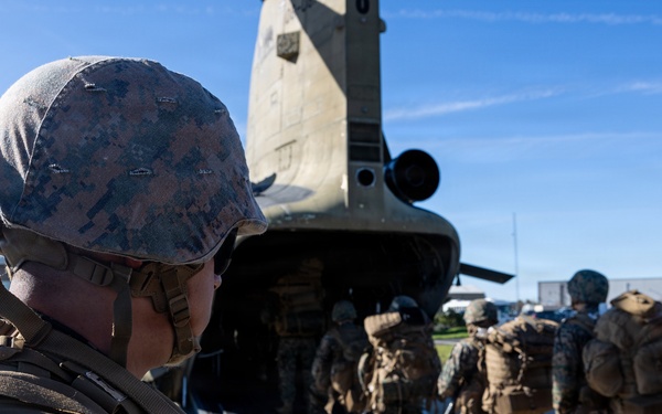 CLB-23 Aerial Insert