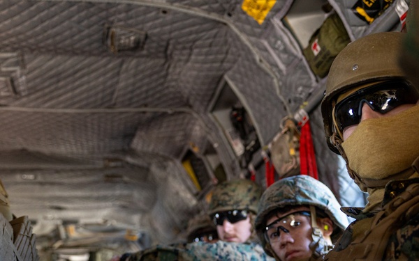 CLB-23 Aerial Insert