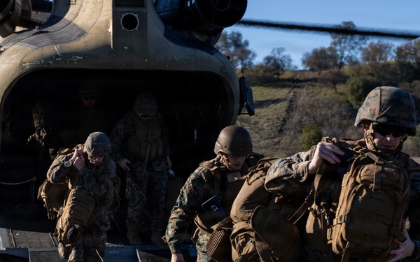 CLB-23 Aerial Insert