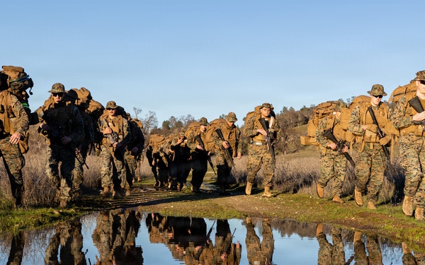 CLB-23 Aerial Insert