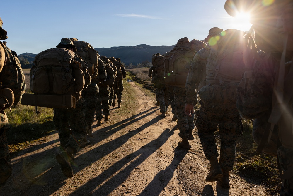 CLB-23 Aerial Insert