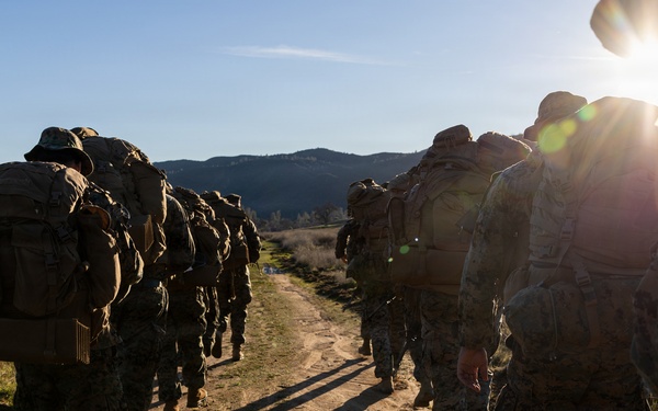 CLB-23 Aerial Insert