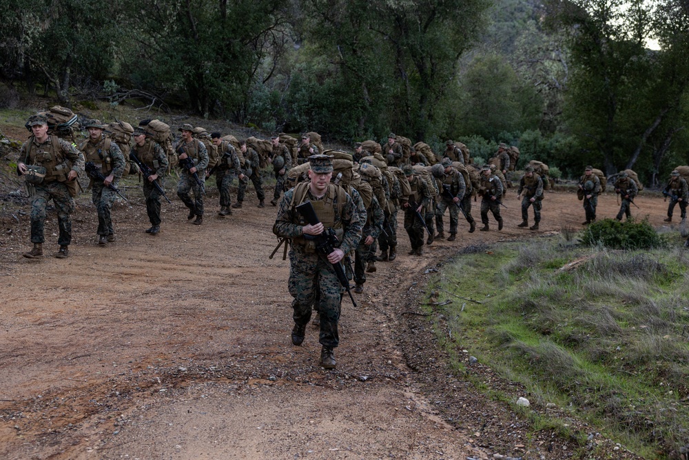 CLB-23 Aerial Insert