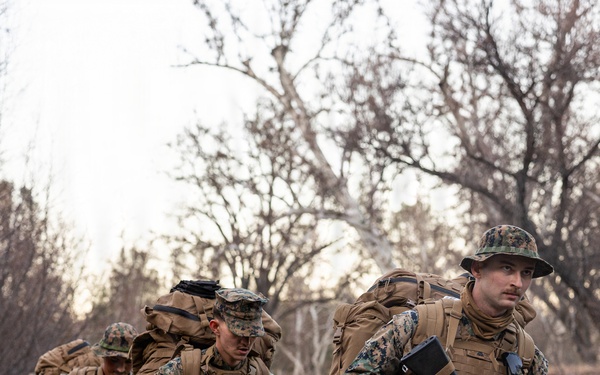 CLB-23 Aerial Insert