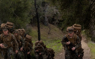 CLB-23 Aerial Insert