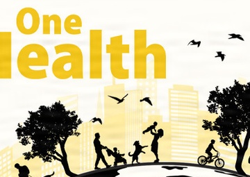 One Health’s integrated approach protects military communities