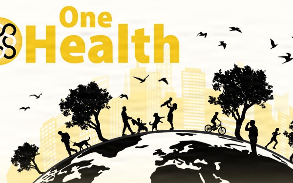 One Health’s integrated approach protects military communities