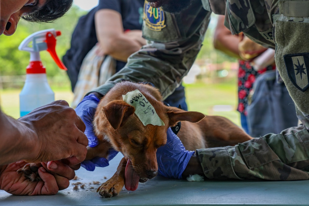 One Health’s integrated approach protects military communities