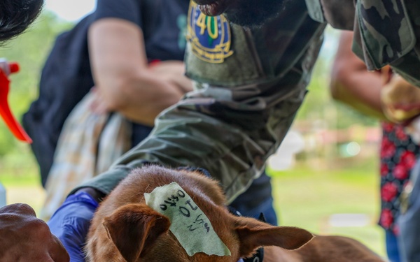 One Health’s integrated approach protects military communities