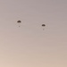 Skyfall: 1st DSB Marines conduct Combat Load Parachute Operations