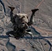 10th SFG(A) conducts military free fall above the desert of Lake Havasu